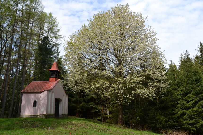 Kaplička sv. Jana je na jaře nejkrásnější
