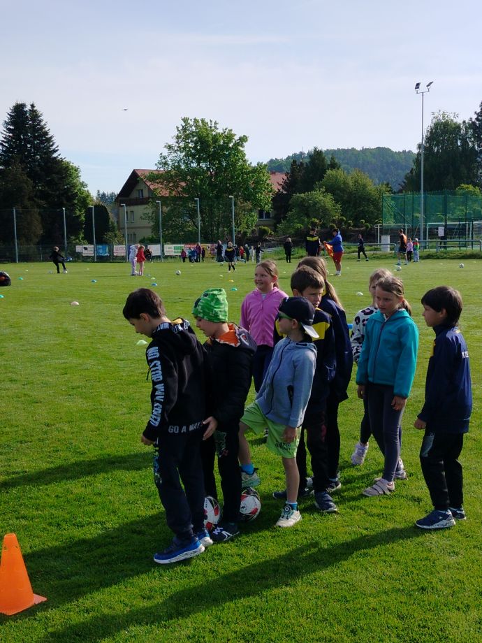 IMG20250514082929.jpg
