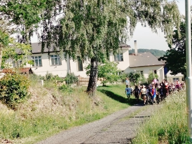 IMG20260617082729.jpg