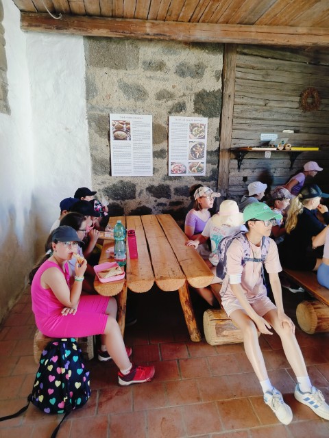 IMG20260619095750.jpg
