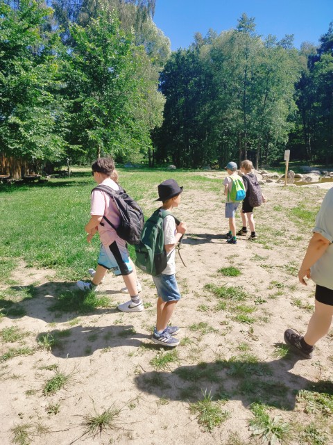 IMG20260619103134.jpg