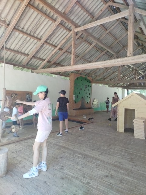 IMG20260619103509.jpg