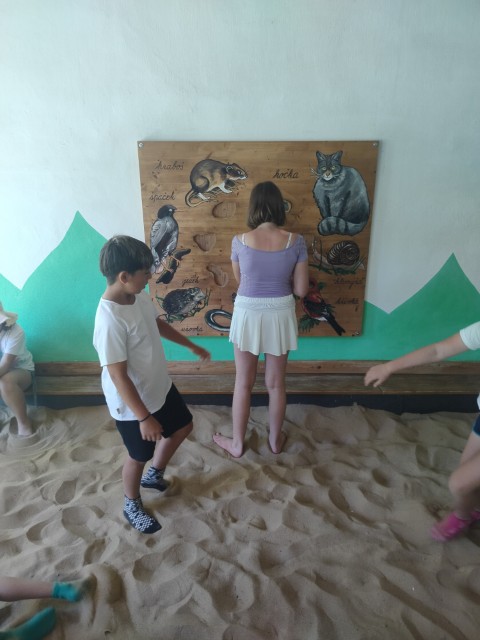 IMG20260619103732.jpg