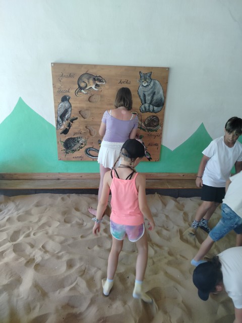 IMG20260619103740.jpg