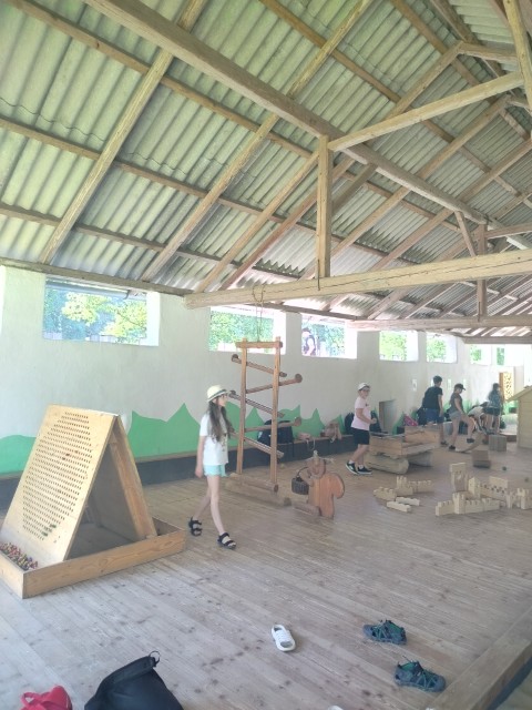 IMG20260619104512.jpg