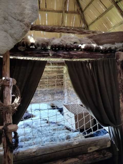 IMG20260619113915.jpg