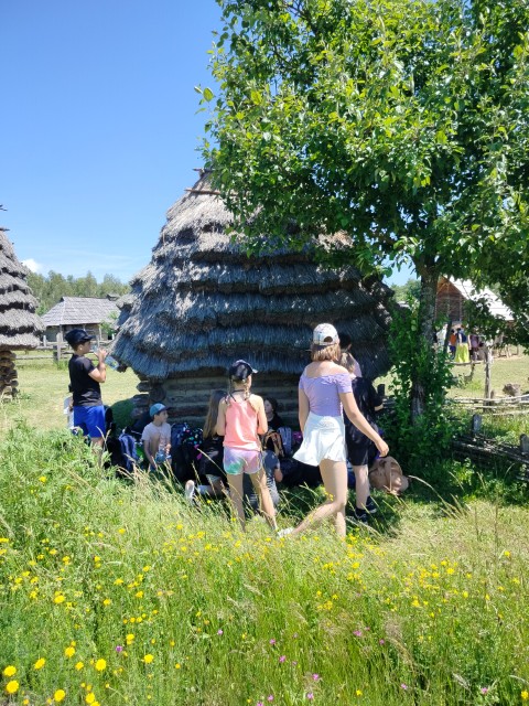 IMG20260619115244.jpg