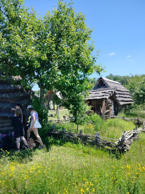 IMG20260619115250.jpg