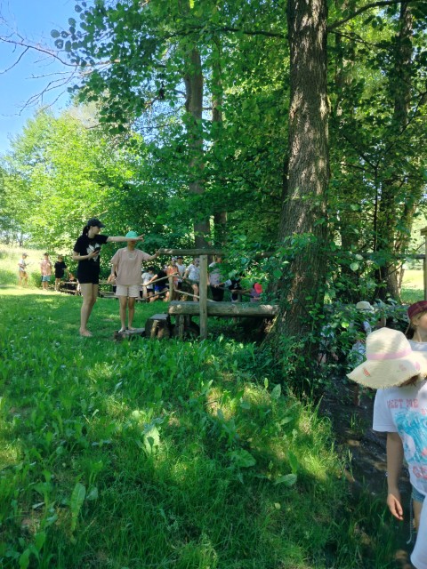 IMG20260619120655.jpg