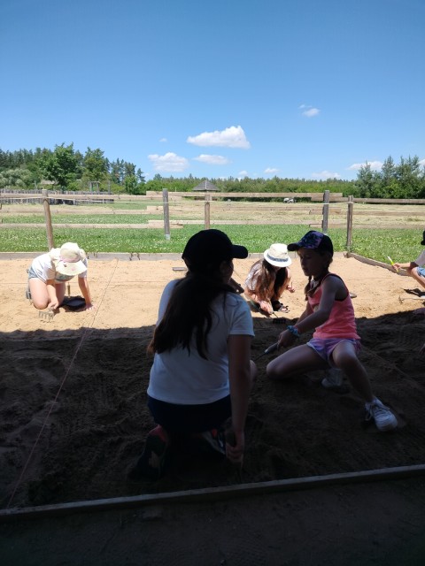 IMG20260619131215.jpg