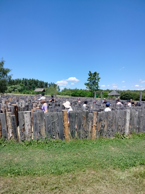 IMG20260619132232.jpg