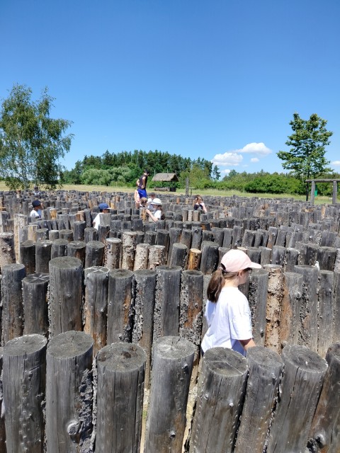 IMG20260619132255.jpg