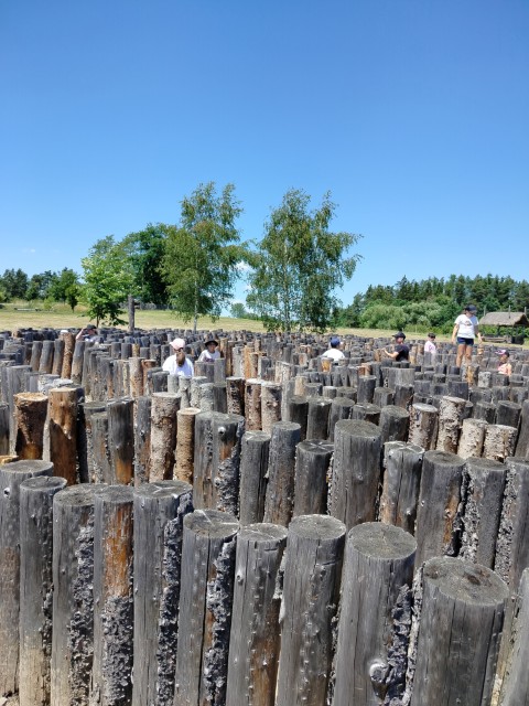 IMG20260619132303.jpg