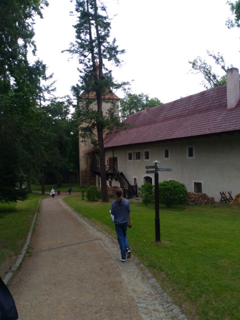 IMG_20260609_093903.jpg
