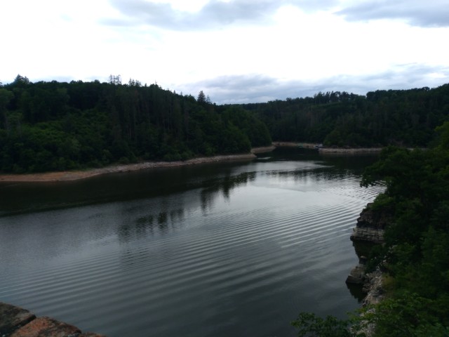 IMG_20260609_094529.jpg