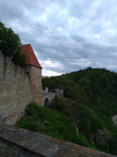 IMG_20260609_094543.jpg