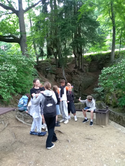 IMG_20260609_110440.jpg