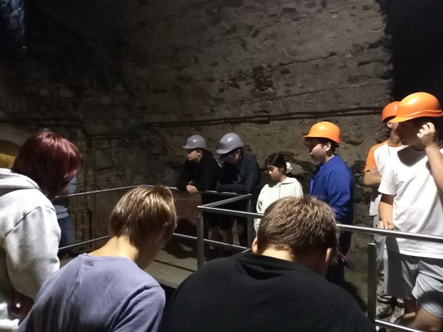 IMG_20260609_133609.jpg