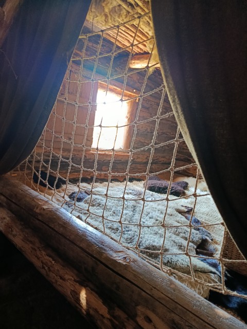 IMG_20260619_112338.jpg