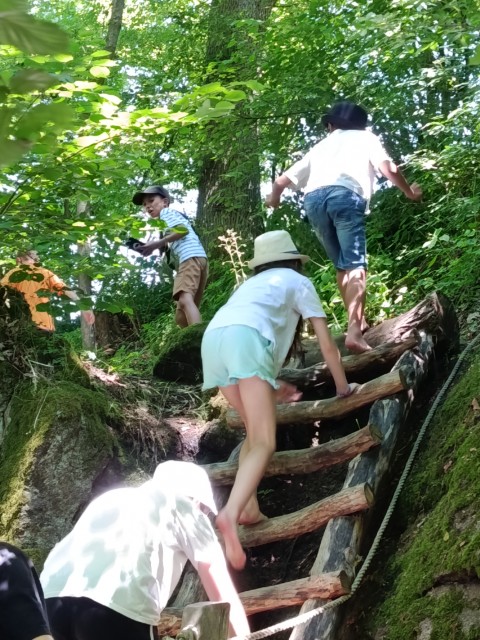 IMG_20260619_121326.jpg