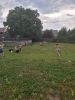 20260622_135054.jpg