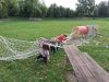 34~0.jpg