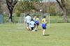 DSC_3798.JPG