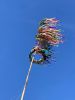 IMG-20250505-WA0001.jpg