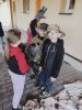 IMG20250512111643.jpg