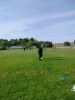 IMG20250514081938.jpg