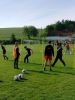 IMG20250514083209.jpg