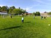 IMG_20250514_084231.jpg