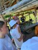 IMG_20260619_114655.jpg