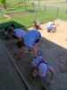IMG_20260619_124624.jpg