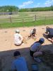 IMG_20260619_124645.jpg