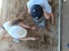 IMG_20260619_125042.jpg