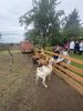 IMG_2461.jpeg